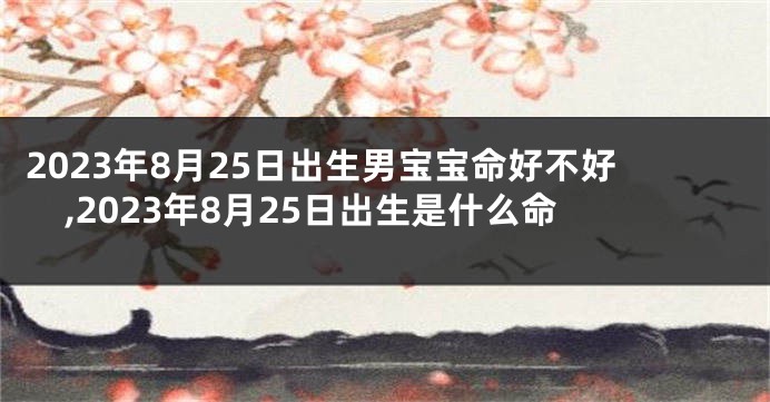 2023年8月25日出生男宝宝命好不好,2023年8月25日出生是什么命