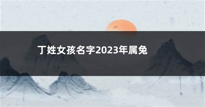 丁姓女孩名字2023年属兔