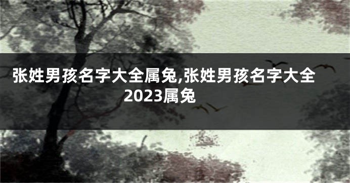 张姓男孩名字大全属兔,张姓男孩名字大全2023属兔