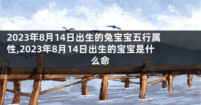 2023年8月14日出生的兔宝宝五行属性,2023年8月14日出生的宝宝是什么命