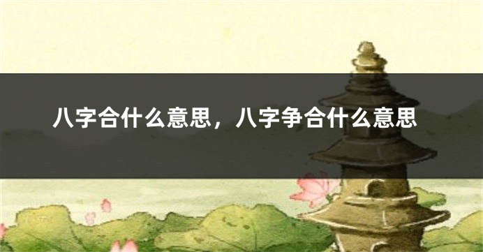 八字合什么意思，八字争合什么意思