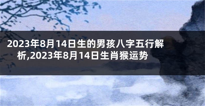 2023年8月14日生的男孩八字五行解析,2023年8月14日生肖猴运势