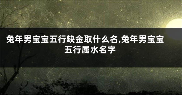 兔年男宝宝五行缺金取什么名,兔年男宝宝五行属水名字