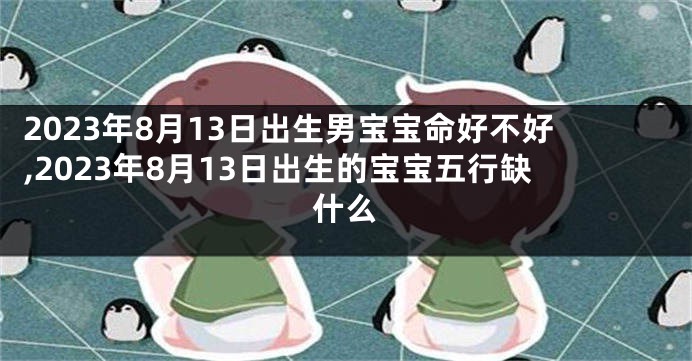 2023年8月13日出生男宝宝命好不好,2023年8月13日出生的宝宝五行缺什么