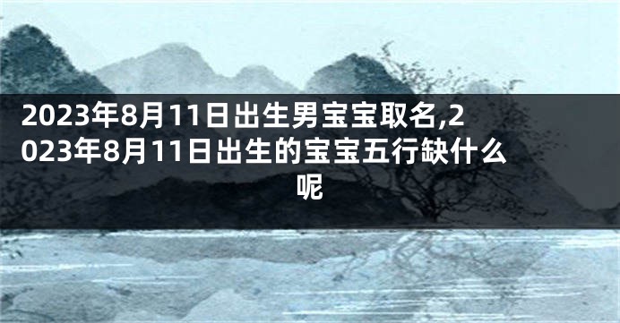 2023年8月11日出生男宝宝取名,2023年8月11日出生的宝宝五行缺什么呢