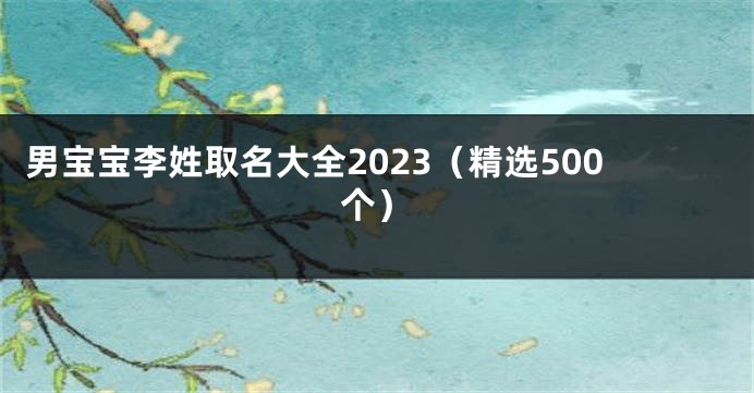 男宝宝李姓取名大全2023（精选500个）