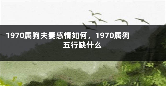 1970属狗夫妻感情如何，1970属狗五行缺什么