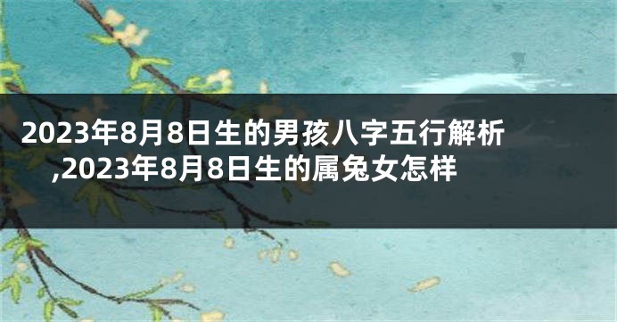 2023年8月8日生的男孩八字五行解析,2023年8月8日生的属兔女怎样