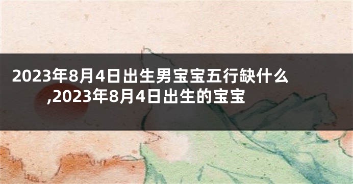 2023年8月4日出生男宝宝五行缺什么,2023年8月4日出生的宝宝