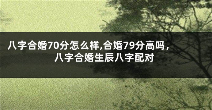 八字合婚70分怎么样,合婚79分高吗，八字合婚生辰八字配对