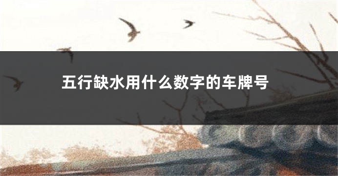 五行缺水用什么数字的车牌号