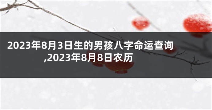 2023年8月3日生的男孩八字命运查询,2023年8月8日农历