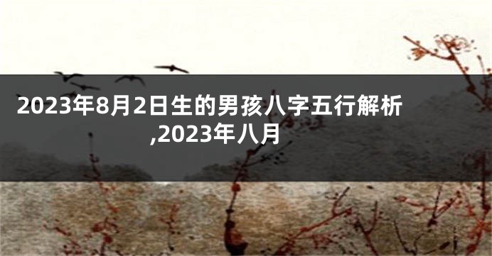 2023年8月2日生的男孩八字五行解析,2023年八月