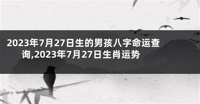 2023年7月27日生的男孩八字命运查询,2023年7月27日生肖运势