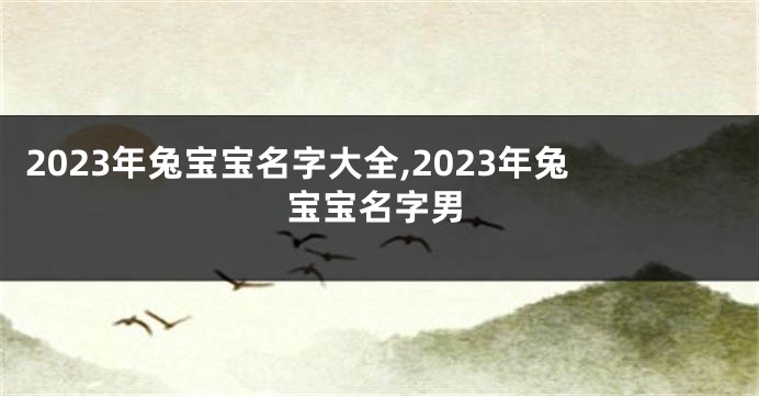 2023年兔宝宝名字大全,2023年兔宝宝名字男