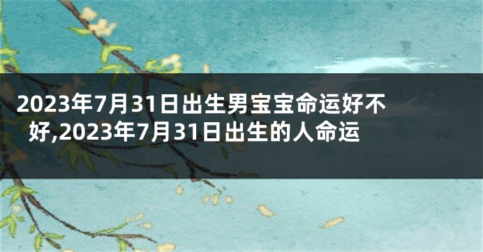 2023年7月31日出生男宝宝命运好不好,2023年7月31日出生的人命运