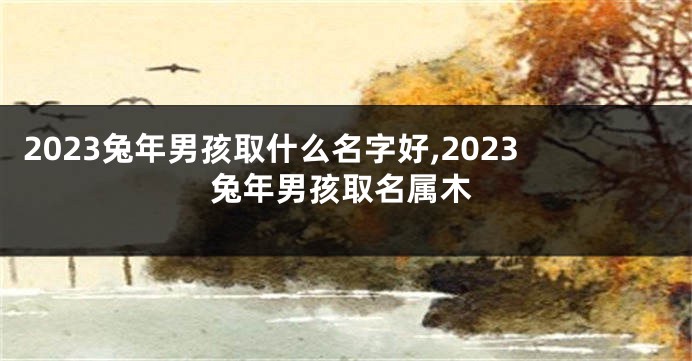 2023兔年男孩取什么名字好,2023兔年男孩取名属木