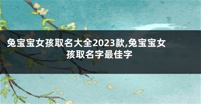 兔宝宝女孩取名大全2023款,兔宝宝女孩取名字最佳字