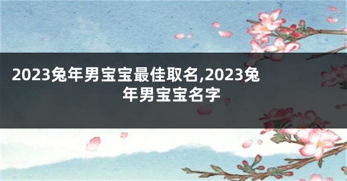 2023兔年男宝宝最佳取名,2023兔年男宝宝名字