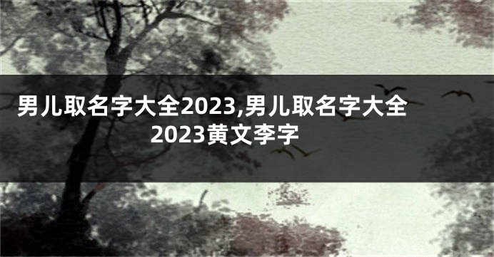 男儿取名字大全2023,男儿取名字大全2023黄文李字