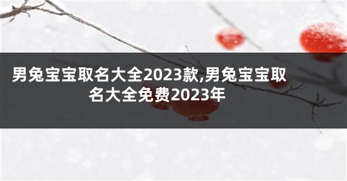 男兔宝宝取名大全2023款,男兔宝宝取名大全免费2023年