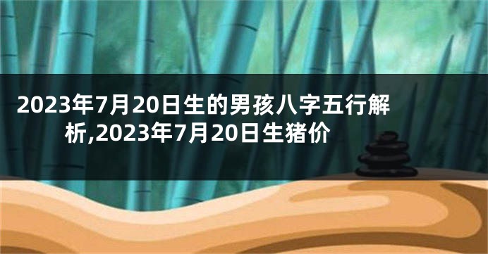 2023年7月20日生的男孩八字五行解析,2023年7月20日生猪价