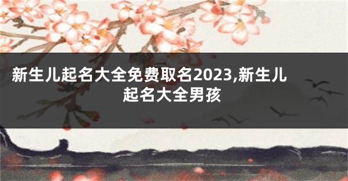 新生儿起名大全免费取名2023,新生儿起名大全男孩