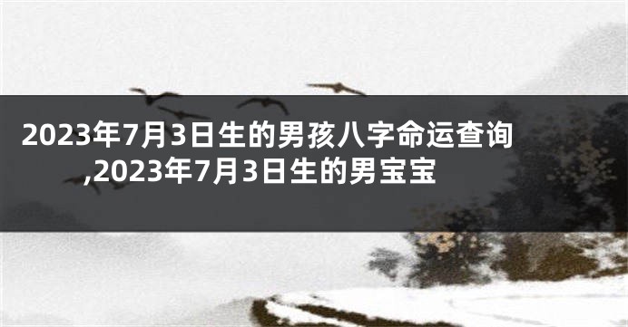 2023年7月3日生的男孩八字命运查询,2023年7月3日生的男宝宝