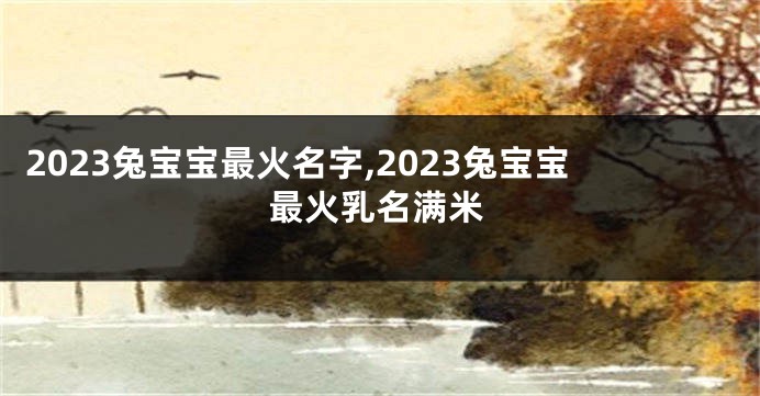 2023兔宝宝最火名字,2023兔宝宝最火乳名满米