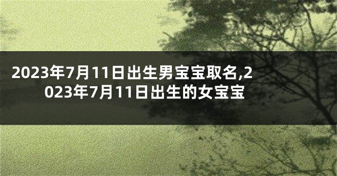 2023年7月11日出生男宝宝取名,2023年7月11日出生的女宝宝