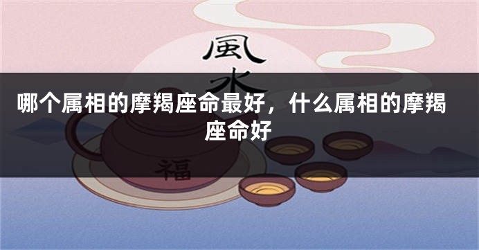 哪个属相的摩羯座命最好，什么属相的摩羯座命好