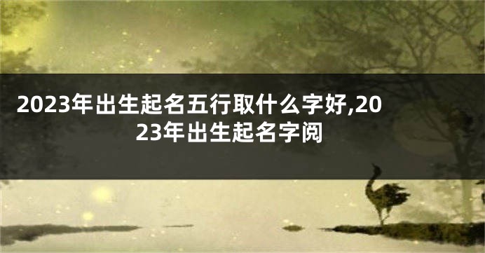 2023年出生起名五行取什么字好,2023年出生起名字阅