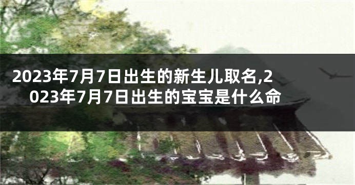 2023年7月7日出生的新生儿取名,2023年7月7日出生的宝宝是什么命