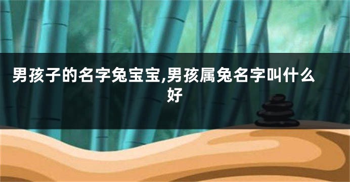 男孩子的名字兔宝宝,男孩属兔名字叫什么好