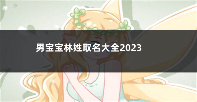 男宝宝林姓取名大全2023