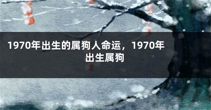 1970年出生的属狗人命运，1970年出生属狗