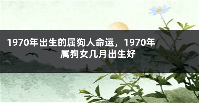 1970年出生的属狗人命运，1970年属狗女几月出生好