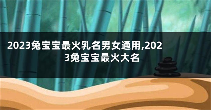 2023兔宝宝最火乳名男女通用,2023兔宝宝最火大名