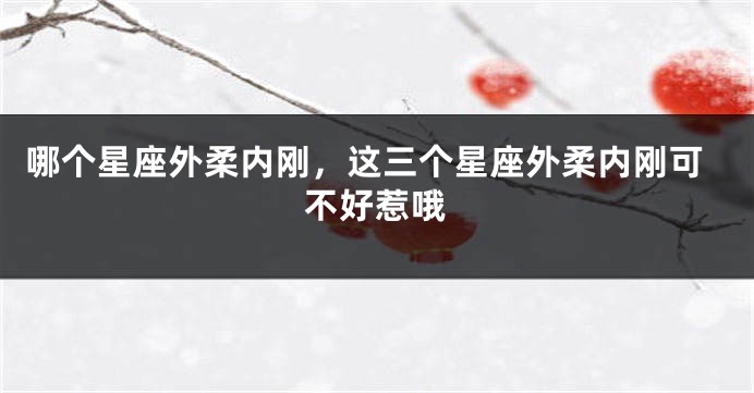 哪个星座外柔内刚，这三个星座外柔内刚可不好惹哦