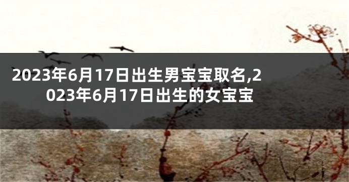 2023年6月17日出生男宝宝取名,2023年6月17日出生的女宝宝