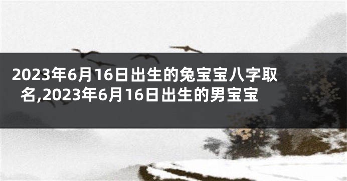 2023年6月16日出生的兔宝宝八字取名,2023年6月16日出生的男宝宝