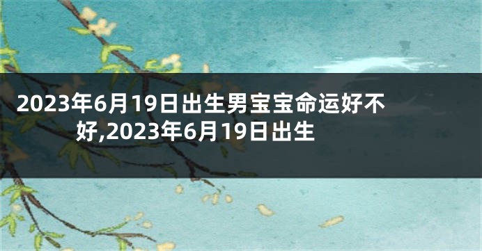 2023年6月19日出生男宝宝命运好不好,2023年6月19日出生