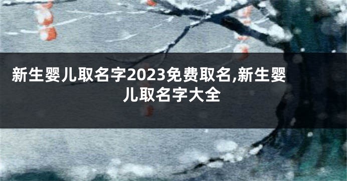 新生婴儿取名字2023免费取名,新生婴儿取名字大全