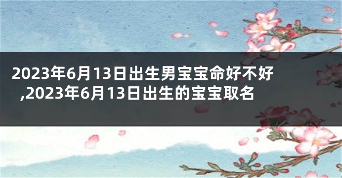 2023年6月13日出生男宝宝命好不好,2023年6月13日出生的宝宝取名
