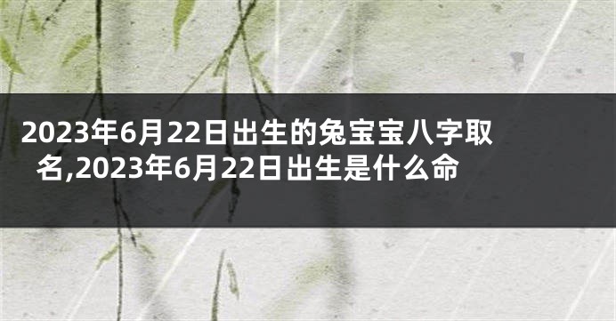 2023年6月22日出生的兔宝宝八字取名,2023年6月22日出生是什么命