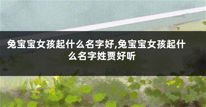 兔宝宝女孩起什么名字好,兔宝宝女孩起什么名字姓贾好听