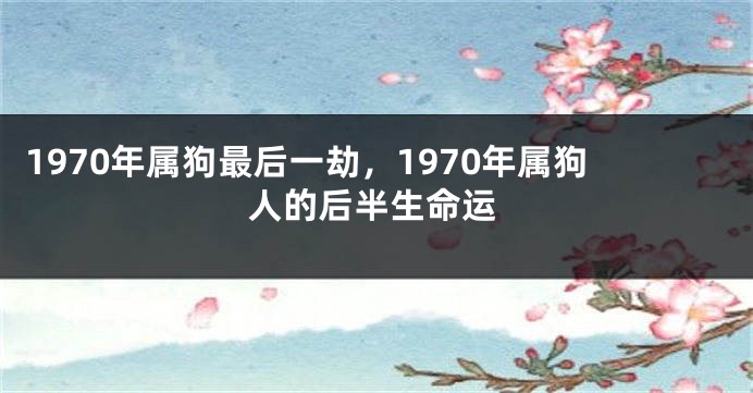 1970年属狗最后一劫，1970年属狗人的后半生命运