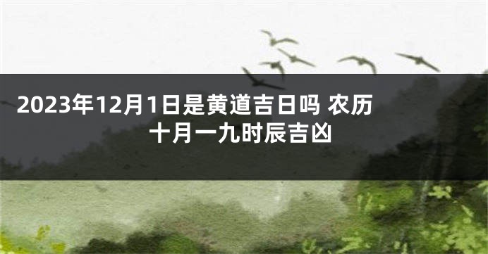 2023年12月1日是黄道吉日吗 农历十月一九时辰吉凶