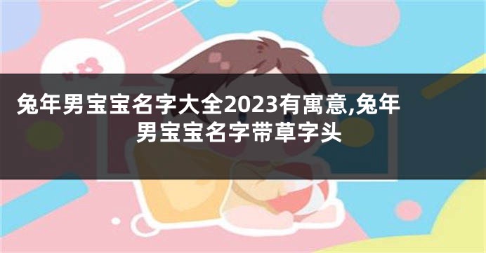 兔年男宝宝名字大全2023有寓意,兔年男宝宝名字带草字头