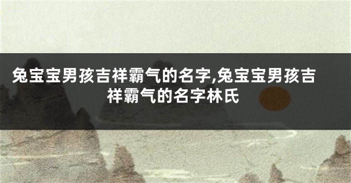 兔宝宝男孩吉祥霸气的名字,兔宝宝男孩吉祥霸气的名字林氏